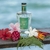 Gin Jardim Botânico 750ml - Dose7 Bebidas
