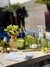 Kit Completo Flor de Laranjeira I - comprar online