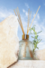 Kit Alecrim Mediterrâneo III - comprar online