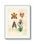 Pintura Original Orquídeas na internet