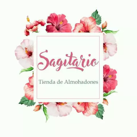 Sagitario Almohadones