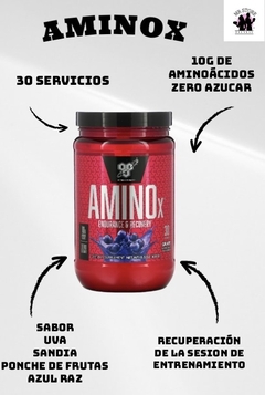 AMINO X