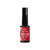 Gel Base Any Lovy