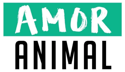AmorAnimal