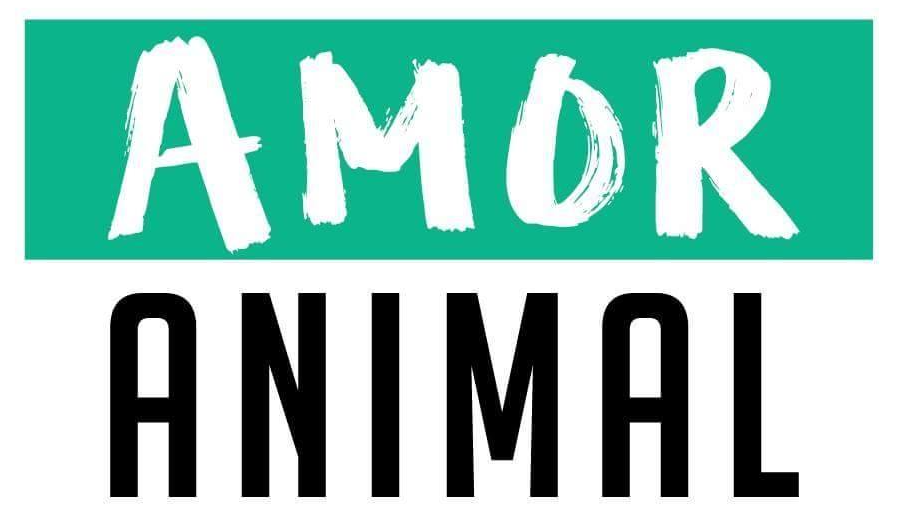 AmorAnimal