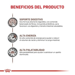Royal Canin Gastrointestinal Dog x2kg en internet