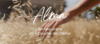 Banner Almacen Organico