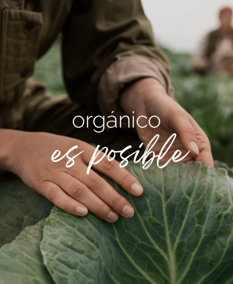 Carrusel Almacen Organico