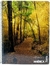 CUADERNO RAYADO AMERICA A4 80 HJ RAYADO