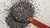 Semilla de Chia x1kg - comprar online