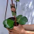 Hoya kerrii en internet
