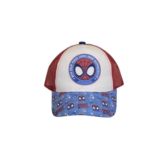 Spider With