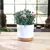 Vaso de Planta Decorativo Retrô - Bem do Lar - loja online