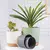 Vaso de Planta Decorativo Retrô - Bem do Lar na internet