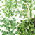 KIT Planta Decorativa - Sweet Home (Compre 2 leve 3) - loja online