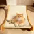 Cama Arranhador de Gato - Bem do Pet - comprar online