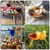 Bandeja Para Petiscos Em Madeira - Bem do Lar - loja online