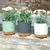 Vaso de Planta Decorativo Retrô - Bem do Lar - Loja Bem do Lar | Soluções Criativas para Casa, Cozinha, Organização, Decoração. 