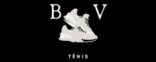 BV Tenis