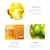 LEEINTO Plant Essence Lip - loja online