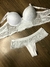 Conjunto Kelly Branco - Lisie 