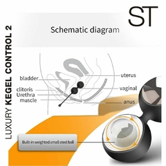 Kegel Control 2 ST en internet