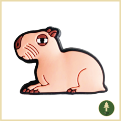 Pin Crocs carpincho