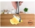 Rebanador de Queso de Acero Hudson (T015)