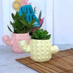 MACETA CACTUS
