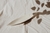 FUENTE LEAF - comprar online