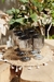 SET x6 COPAS SILVER