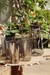 SET X6 VASOS SILVER - TANNAT DECO