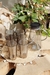 SET X6 VASOS SILVER en internet