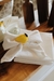 SET x4 servilletas WHITE
