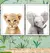 Quadro decorativo Animais (A3 30x44 cm)