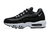 Air Max 95 'Black Pure Platinum'