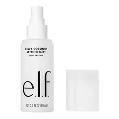 Setting Mist - ELF en internet