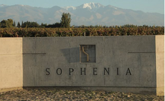 Banner de la categoría BODEGA SOPHENIA 