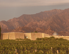Banner de la categoría ZUCCARDI