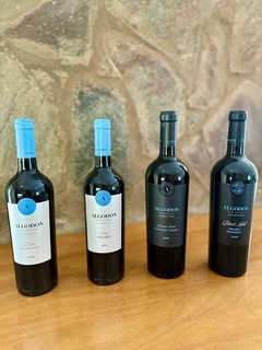 Banner de la categoría ALGODON WINES