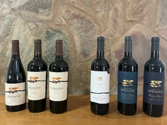 Banner de la categoría SPOSATO