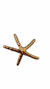 PRESILHA ESTRELA-DO-MAR - comprar online