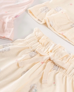 Conjunto Bunny en internet