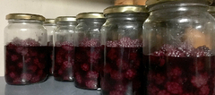 Banner de la categoría Conservas de frutas