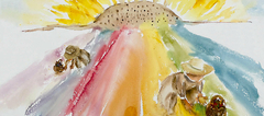 Banner de la categoría Esenciales