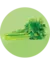 APIO Común