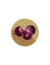 CEBOLLA MORADA Chata de Italia
