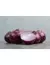 CEBOLLA MORADA Chata de Italia - comprar online