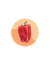PIMIENTO DULCE Fyuco INTA