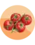 TOMATE CHERRY Red Cherry Large